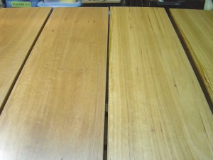 Blackbutt with Estapol finish