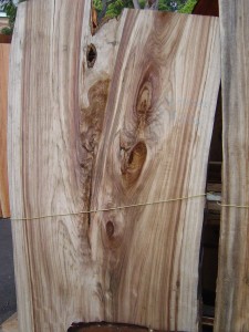 Camphor Laurel Slab