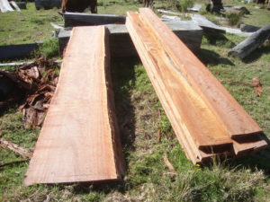 Slab timber, Blackbutt furniture