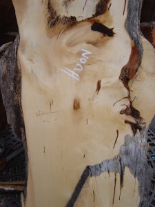 Huon Pine Slab